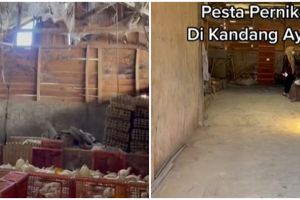 Tanpa tenda, aksi WO ubah kandang ayam jadi pelaminan ini kreatif abis