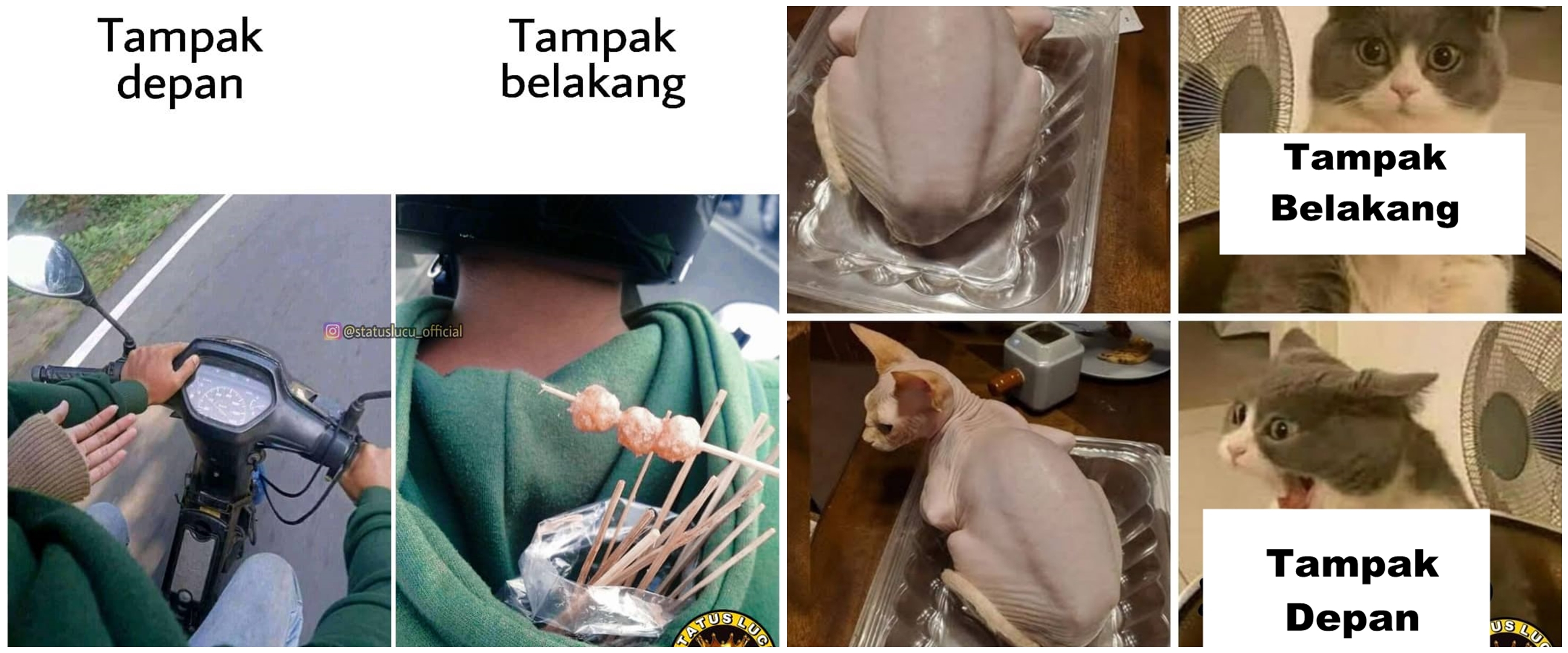 11 Potret lucu tampak depan dan tampak belakang ini bikin melongo