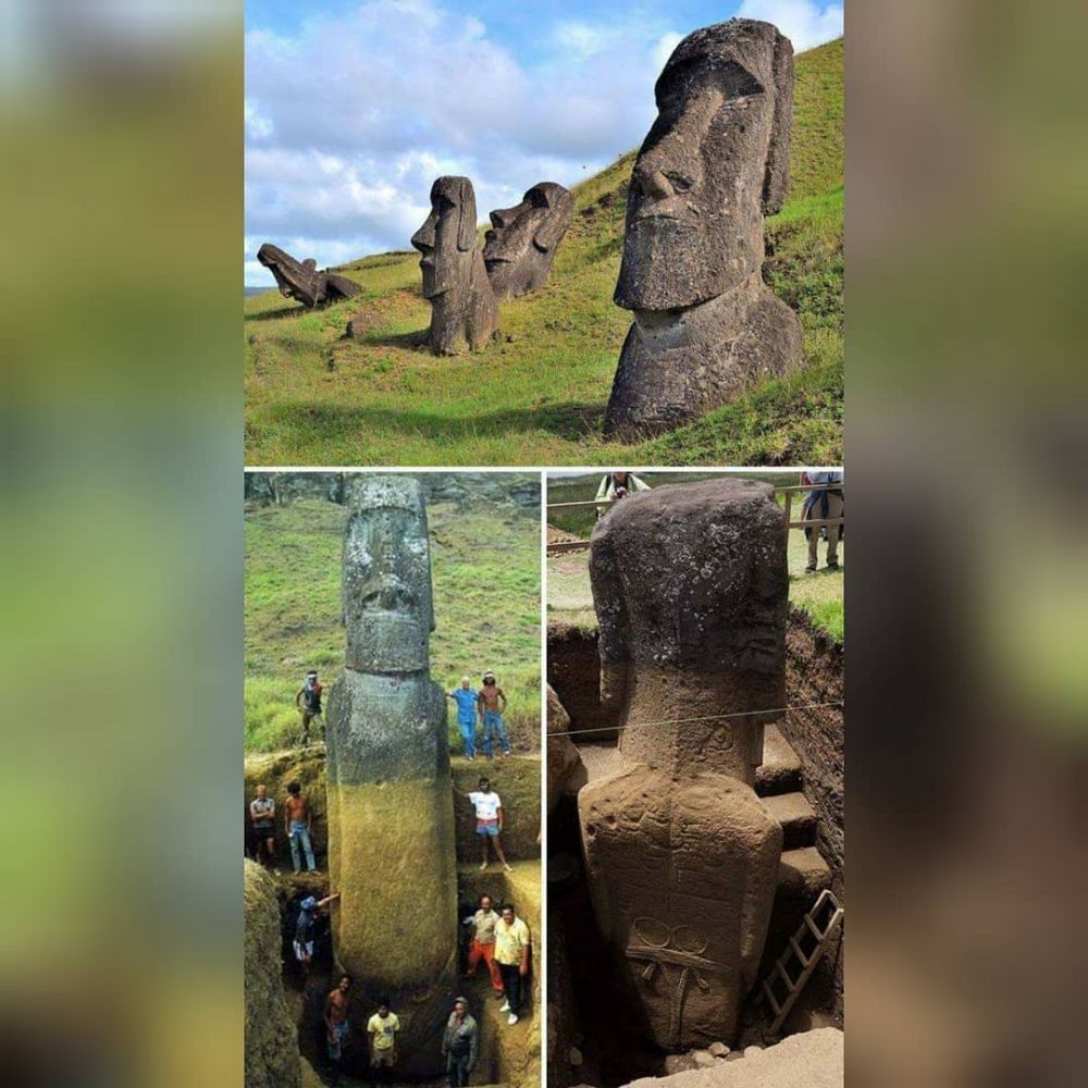 11 Potret lucu tampak depan dan tampak belakang ini bikin melongo