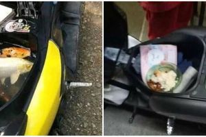 11 Potret lucu isi jok motor ini nyelenehnya bikin kaget