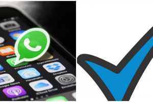 3 Langkah mengetahui pesan WA terbaca meski centang biru dimatikan