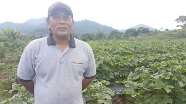 Vakum dari dunia hiburan, 6 seleb ini beralih profesi jadi petani