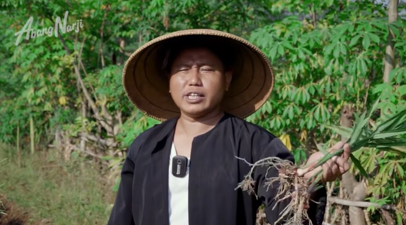 Dari pelawak jadi petani, ini 9 momen Narji bekerja di sawah
