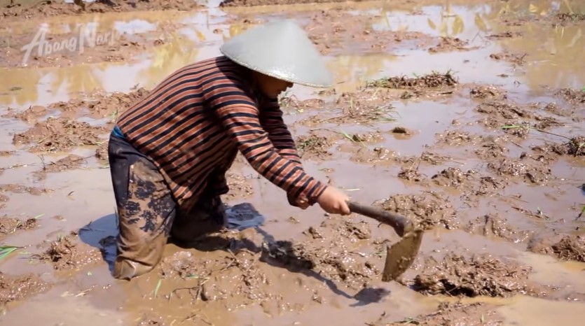 Dari pelawak jadi petani, ini 9 momen Narji bekerja di sawah