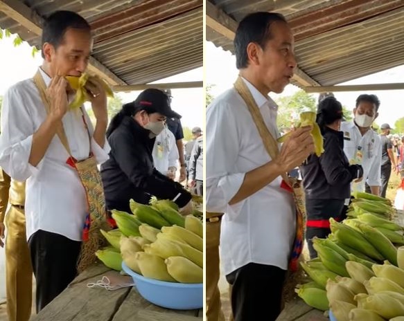 Momen Presiden Jokowi jajan jagung rebus di pinggir jalan