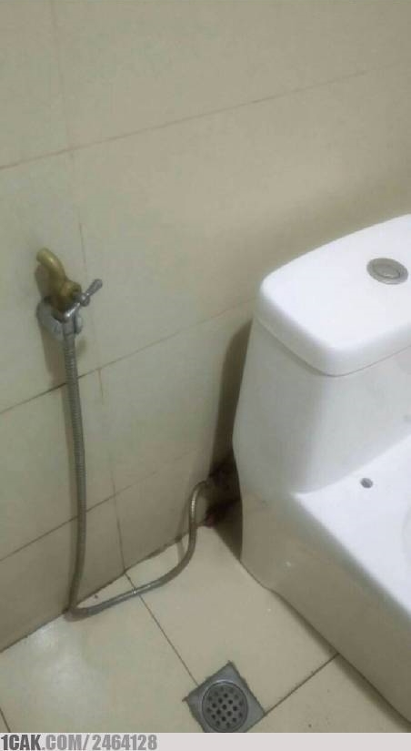 13 Penampakan shower di kamar mandi ini uniknya nggak ada obat