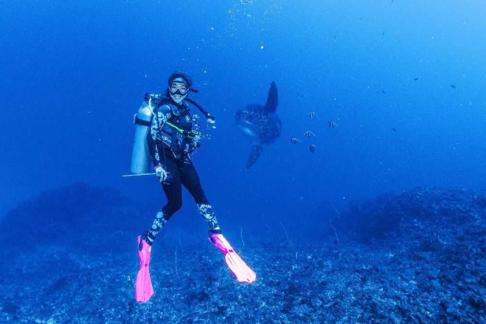 Potret 7 penyanyi wanita jago diving, Gisel foto bareng mola fish