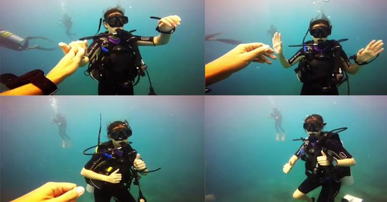 Potret 7 penyanyi wanita jago diving, Gisel foto bareng mola fish
