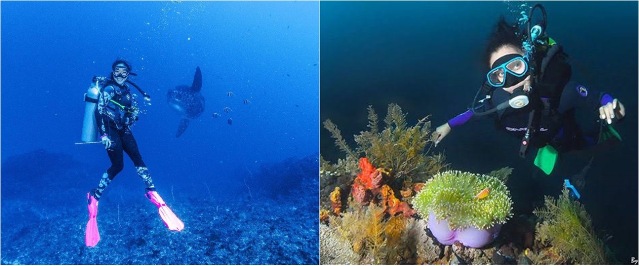 Potret 7 penyanyi wanita jago diving, Gisel foto bareng mola fish