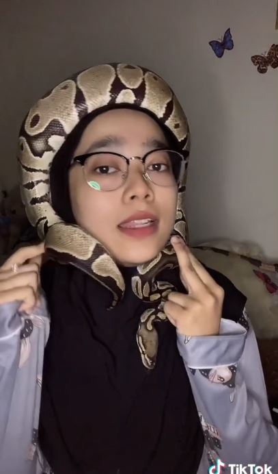 5 Potret hijaber jadikan ular sebagai turban, aksinya bikin merinding