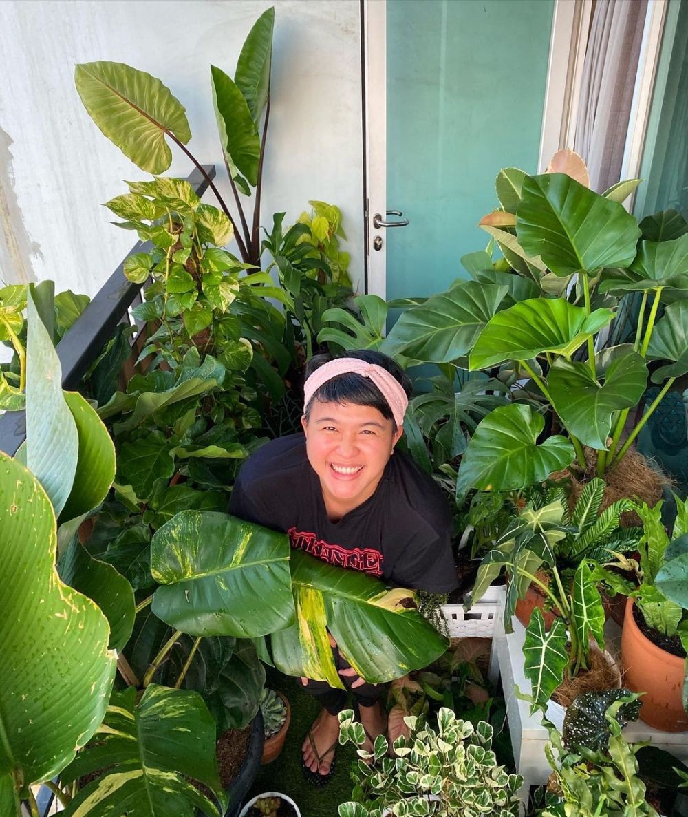 Manfaatkan pekarangan sempit, ini cara 7 seleb menata tanaman