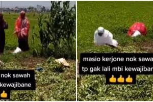 Jalankan ibadah salat di tengah sawah, ibu-ibu ini tuai pujian