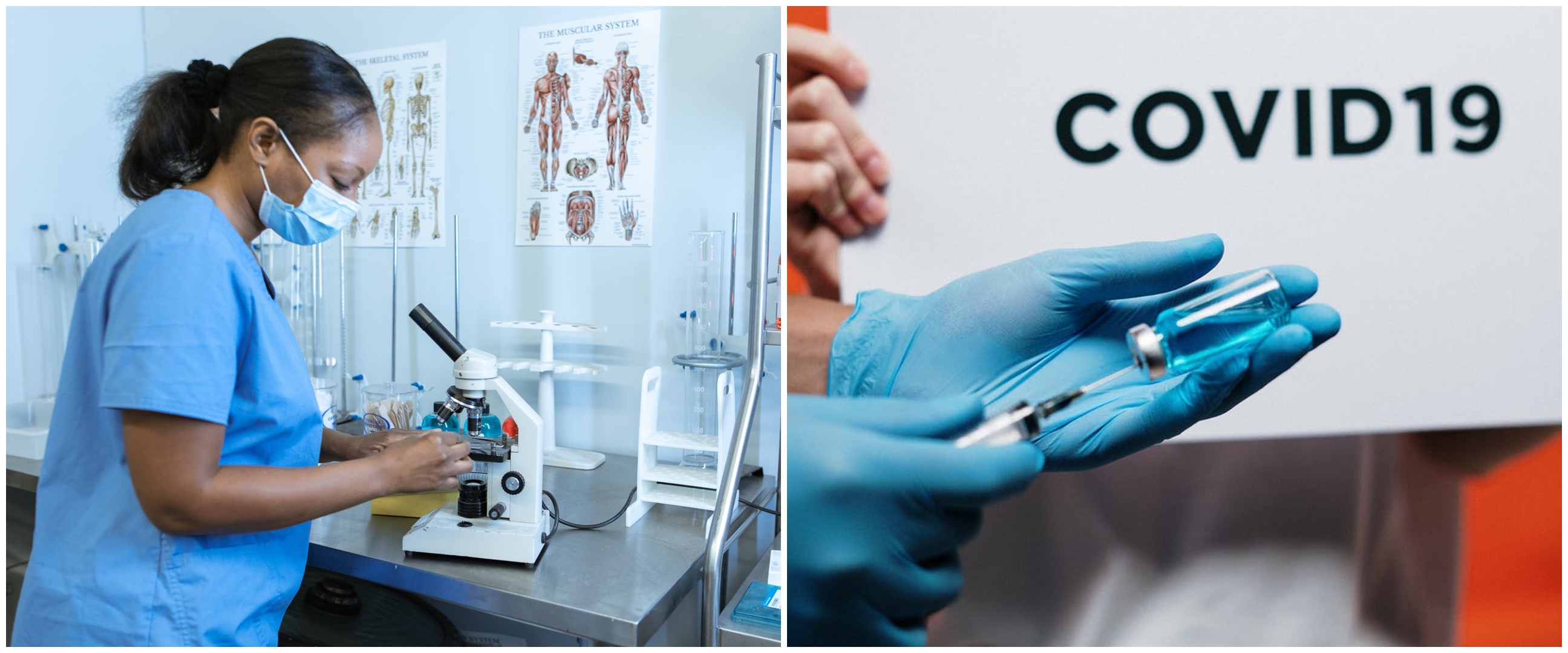 China tolak WHO kunjungi gua kelelawar yang diduga sumber Covid-19