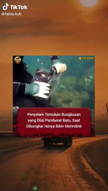 Viral penyelam temukan bungkusan hitam di laut, isinya bikin merinding