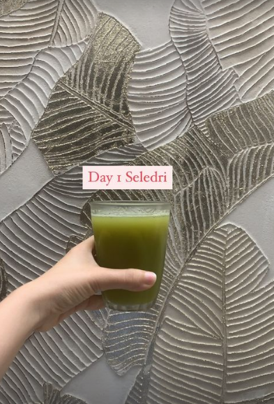 9 Kreasi jus sayur ala Tantri Namirah ini sehat untuk kulit