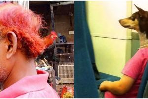 17 Momen pas orang sama hewan di sekitar, menipu mata