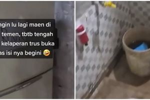 Penampakan kulkas bekas beralih fungsi ini unik, bagai pintu rahasia