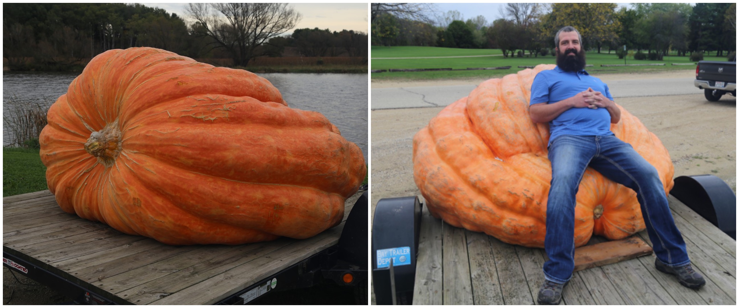 Pria ini panen labu raksasa seberat 1.133 kg