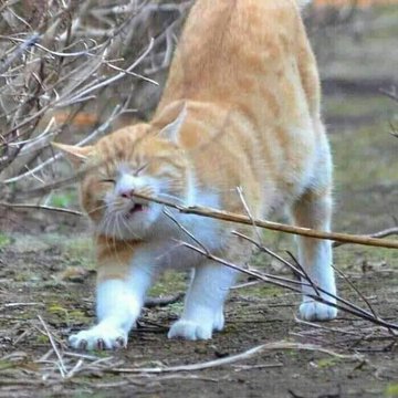 8 Potret lucu nggak sengaja kecolok ini bikin senyum geli