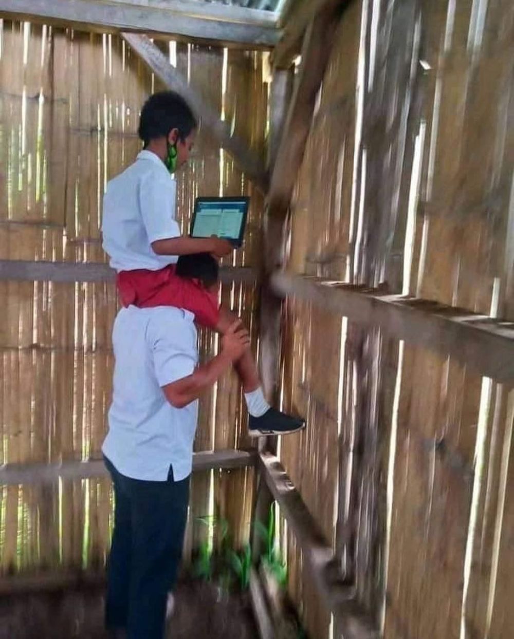 Potret guru NTT memanggul murid agar dapat sinyal internet bikin haru