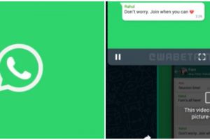 5 Cara kerja fitur Control Bar WhatsApp yang mempermudah nonton video