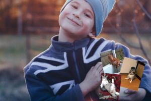 17 Tingkah kucing di rumah ini bener-bener like a boss, gemes banget