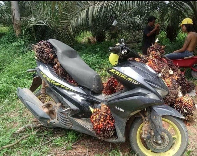 11 Potret lucu tumpukan barang dibawa pakai motor, ngeri banget