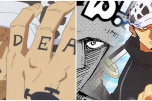 9 Kisah Trafalgar Law, dokter bedah aliansi Topi Jerami di One Piece