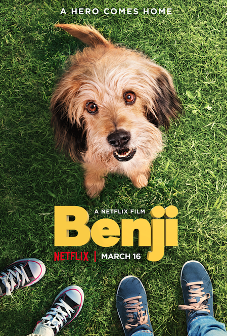 5 Film tentang persahabatan anjing dan manusia di Netflix, mengharukan