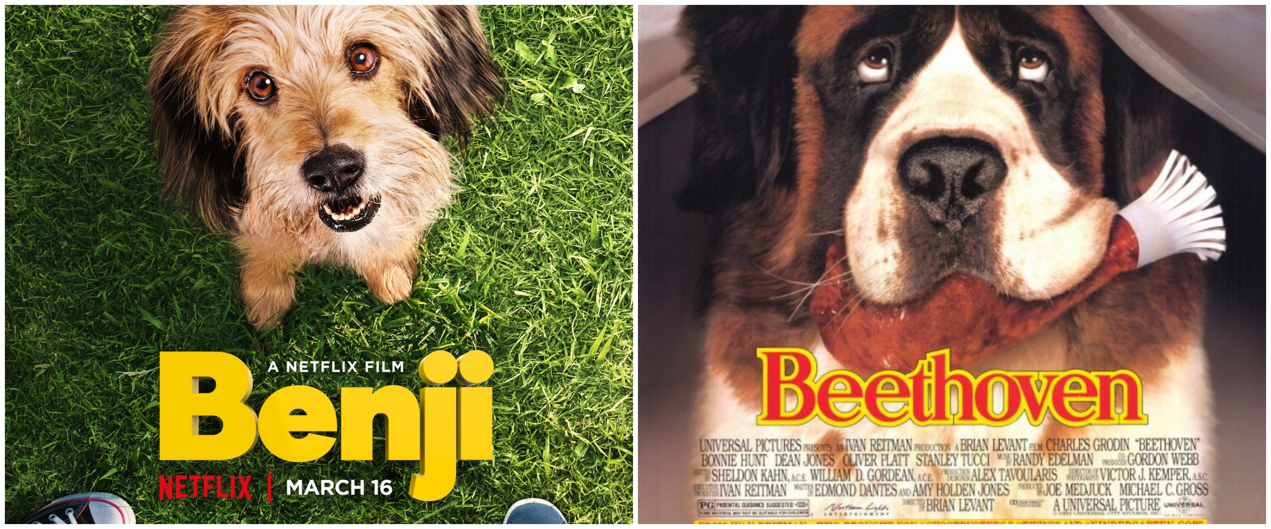 5 Film tentang persahabatan anjing dan manusia di Netflix, mengharukan