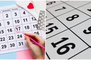 Pemerintah hapus cuti bersama Natal dan Tahun Baru, ini alasannya