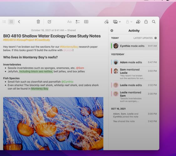 9 Fitur menarik dari macOS Monterey, punya proteksi privasi canggih