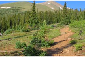 Tersesat 24 jam, pendaki ini malah bikin tim penyelamat emosi