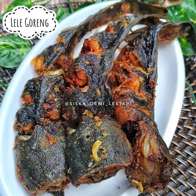 11 Resep kreasi lele goreng lezat, lauk praktis yang ekonomis