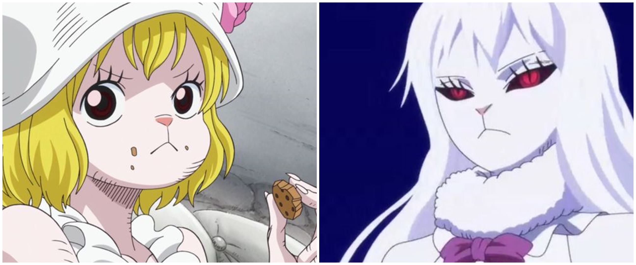 9 Kisah tentang Carrot, Sulong yang mengamuk di Onigashima One Piece