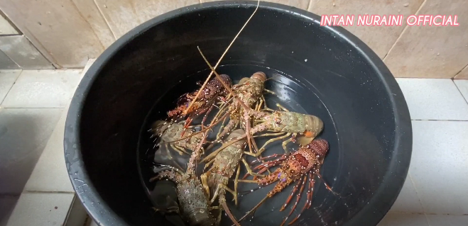 5 Cara masak lobster ala Intan Nuraini, bikin gurih dan empuk