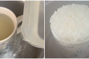 Tips masak nasi secukupnya pakai mug ini kreatif abis, anti mubazir