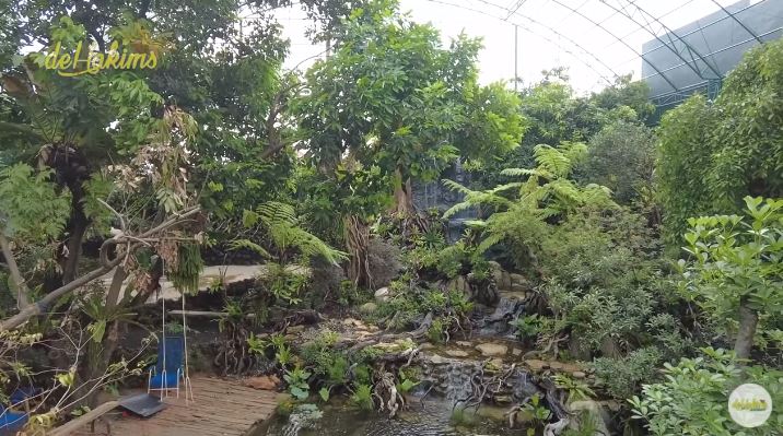 11 Potret kandang burung milik Irfan Hakim, berasa di hutan sungguhan