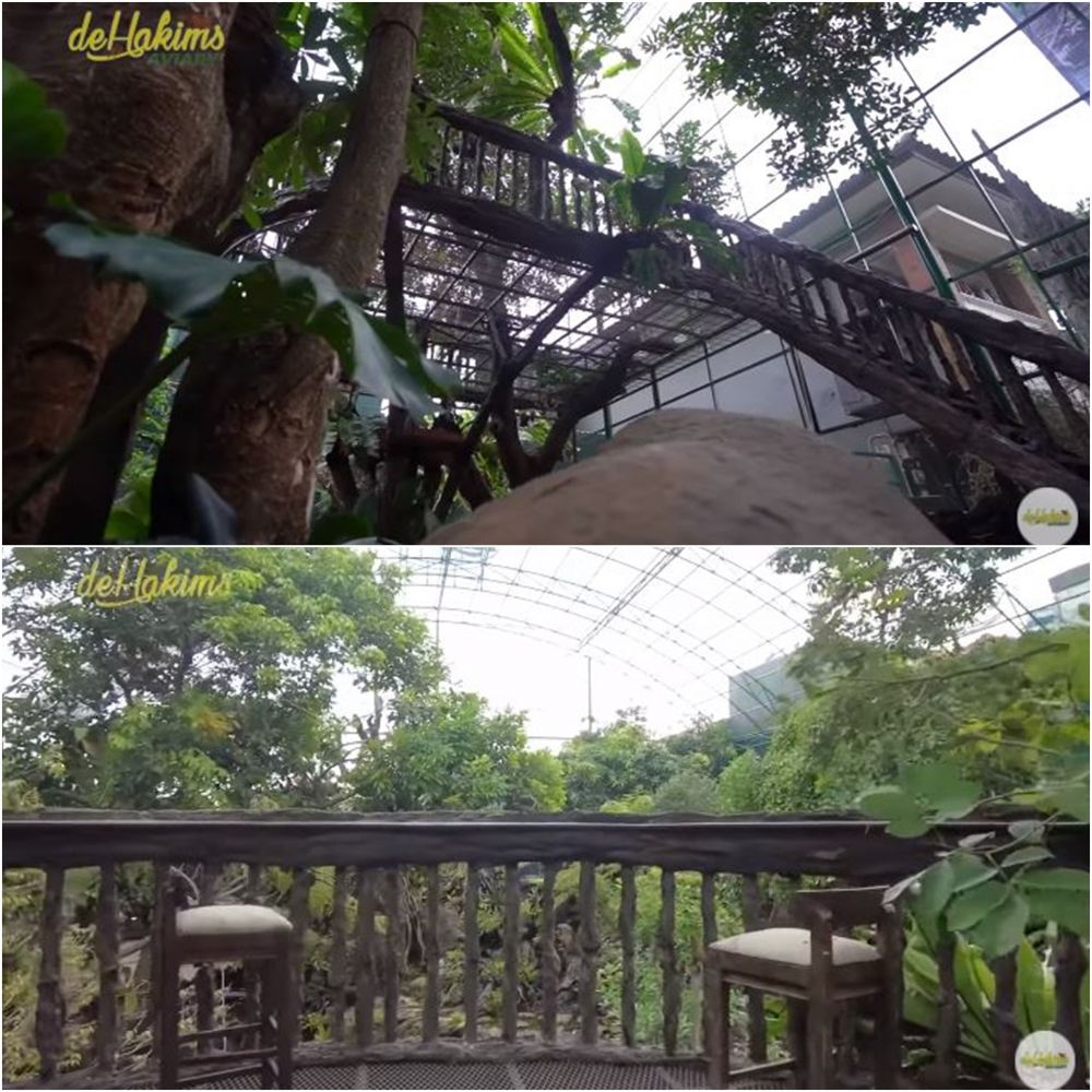 11 Potret kandang burung milik Irfan Hakim, berasa di hutan sungguhan