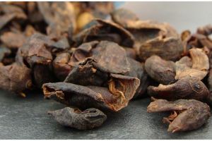 Bisa jadi pengganti kopi, ini 5 manfaat cascara untuk tubuh