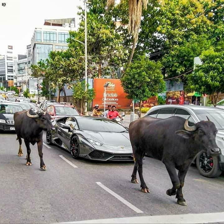 11 Momen lucu dipotret di tempat umum, kocaknya nggak terduga