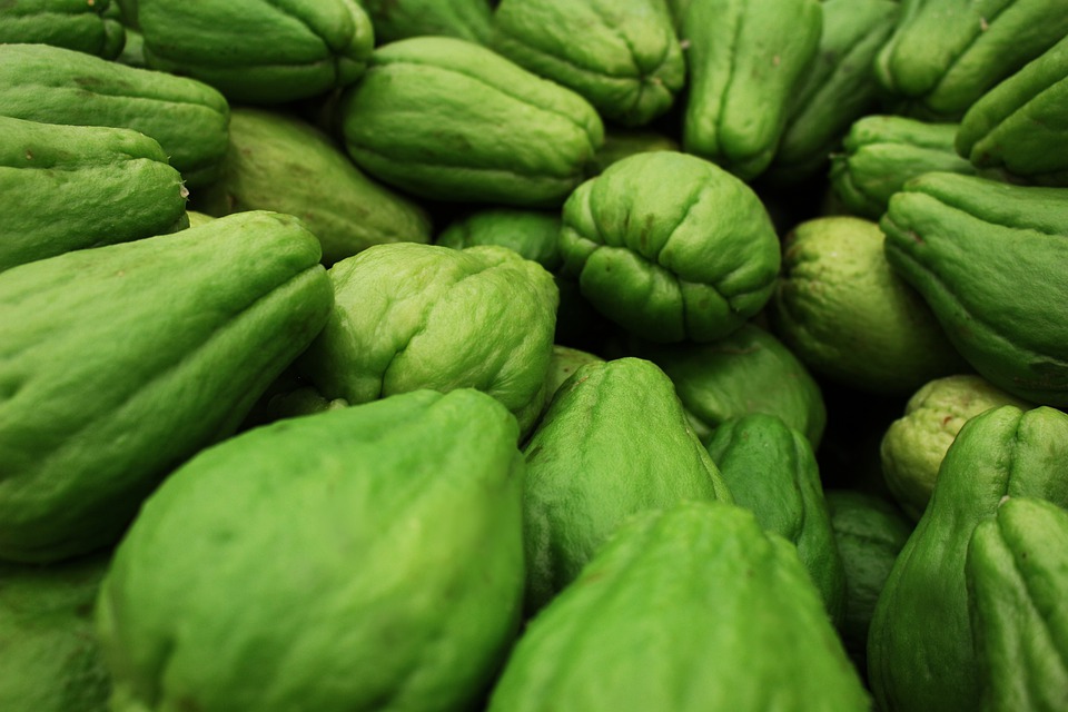 7 Makanan dan minuman ini dikonsumsi Poppy Bunga, bikin ASI melimpah