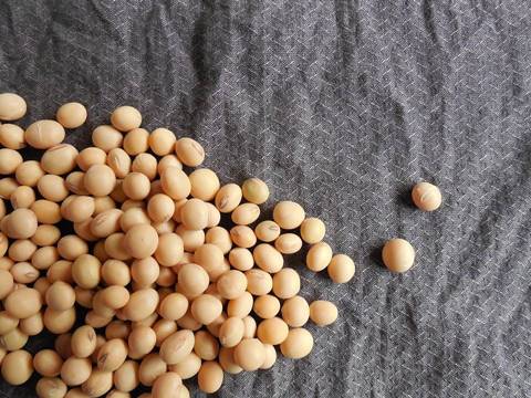 7 Makanan dan minuman ini dikonsumsi Poppy Bunga, bikin ASI melimpah