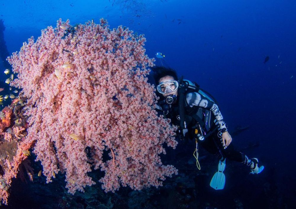 9 Potret Gisella Anastasia diving di Bali, lihat kapal perang Amerika