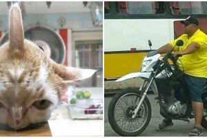 11 Momen lucu gara-gara cermin ini penampakannya bikin bingung