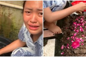 17 tahun dipelihara, wanita ini nangis ikan arwananya mati