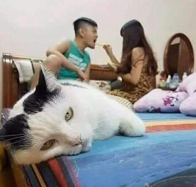 11 Momen lucu gagal foto romantis, alasannya ngakak abis