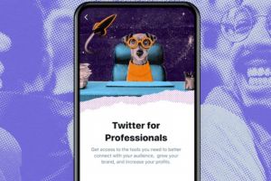 Fitur baru Twitter bikin akun tampak unik dan eksklusif