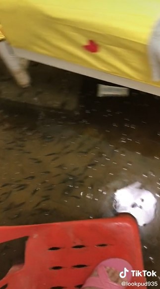 Kebanjiran, kamar wanita ini mendadak jadi kolam penuh ikan