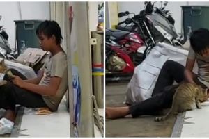 Momen bocah pemulung bagi makanannya pada kucing liar, bikin terenyuh
